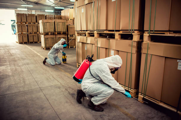Best Emergency Pest Control  in Cleburne, TX
