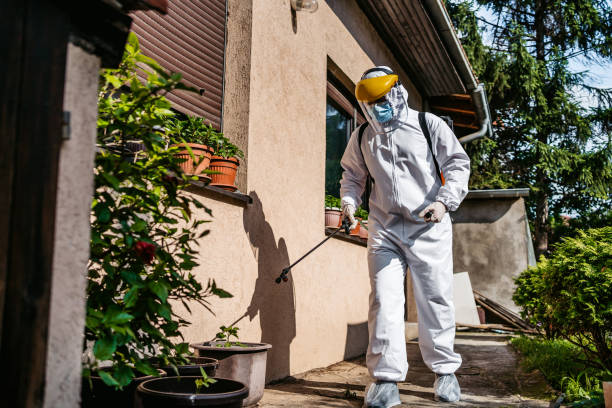 Best Exterminator Services  in Cleburne, TX