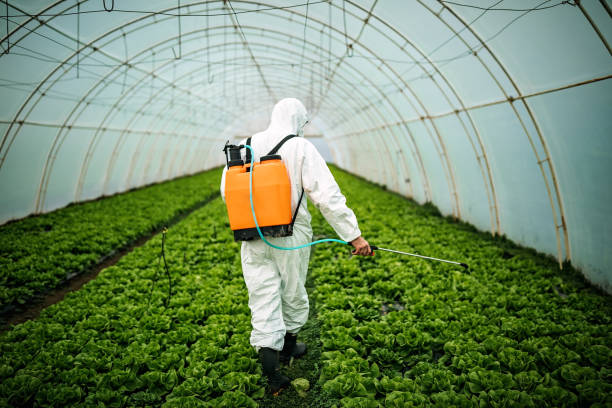 Best Pest Removal Services  in Cleburne, TX