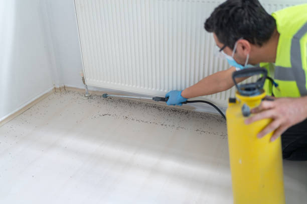 Best Mosquito Control Services  in Cleburne, TX
